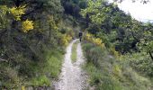 Trail Walking Beaufort-sur-Gervanne - De Beaufort à Eygluy - Photo 10