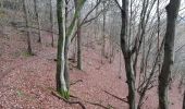 Trail Walking Stoumont - stpumont - froudcour aller via sentier corniche retour le long de l ambleve - Photo 10