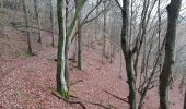 Randonnée Marche Stoumont - stpumont - froudcour aller via sentier corniche retour le long de l ambleve - Photo 10