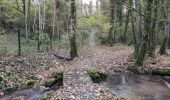 Tour Wandern Esvres - Esvres-sur-Indre - Veneuil Rouillers Hardellière - 24.5km 245m 5h20 (50mn) - 2024 11 23 - Photo 10