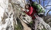 Excursión Senderismo Pont-en-Royans - Grotte Balme Rousse - Photo 13