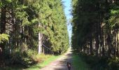 Trail Walking Malmedy - Xhoffraix ( La petite Fagne) - Photo 6