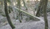 Trail Walking Cassis - gemenos - Photo 11