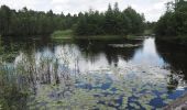 Tour Zu Fuß Munster - Fischeweg - Photo 3