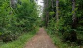 Trail Walking Lanquais - Lanquais 12km - Photo 5