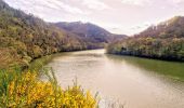 Tour Wandern Vianden - Itinérant Luxembourg Jour 6 : Boucle autour de Vianden - Photo 9