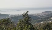 Trail Walking Signes - oppidum essai - Photo 4