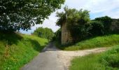 Trail Walking Crissay-sur-Manse - Crissay-sur-Manse - Neuil Avon-les-Roches - 24.9km 370m 5h20 (30mn) - 2021 07 11 - Photo 12