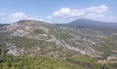 Tour Wandern Crillon-le-Brave - Torrent Pied Blanc / Rocher de la Madeleine - Photo 1