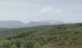 Trail Walking Évenos - La loisianne pins et tamaris Fred - Photo 5
