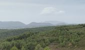 Tour Wandern Évenos - La loisianne pins et tamaris Fred - Photo 5