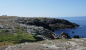 Tour Wandern Quiberon - GR34 Quiberon-Penthièvre par la côte sauvage - Photo 7