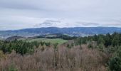 Tocht Stappen Oberkirch - 2024 - Oberkirch Brennersteig  - Photo 2