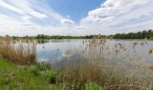 Tour Zu Fuß Neustadt an der Orla - Naturlehrpfad Dreba - Plothen - Photo 1