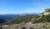 Trail Walking Plan-d'Aups-Sainte-Baume - Tour Cauvin, dents de Roche Forcade, grotte de la Grande Baume - Photo 6