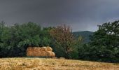 Trail On foot Rignano sull'Arno - IT-3 - Photo 1