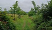 Tour Wandern Mettet - Biesmerée - Ermeton  - Photo 3