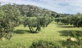 Tocht Stappen Mouriès - Caisses Jeanjean golf Servanes (boucle) - Photo 2