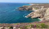 Trail Walking Crozon - Cap de la Chevre  - Photo 2