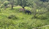 Tocht Stappen Vernet-les-Bains - Tour de Goa - Photo 14