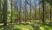 Randonnée Marche Stoumont - Balade à Stoumont  - Photo 12