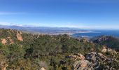 Trail Walking Saint-Raphaël - Les suvières via le pic de l'ours depuis ND - Photo 8