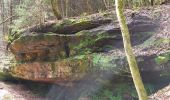 Excursión Senderismo Lemberg - Lemberg - cascade des Ondines - sentiers des grottes et des étangs - Photo 12