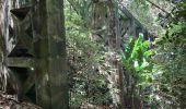 Randonnée Marche Le Lorrain - La Crabiere Vive - Savane La Pointe - Photo 18