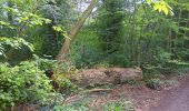 Trail Walking Spa - les eaux au sud de Spa  - Photo 5