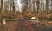 Trail Walking Moret-Loing-et-Orvanne - 2021 02 25 - Photo 2