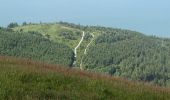 Percorso A piedi Sconosciuto - Rostrevor Forest - Slievemartin Trail - Photo 10