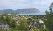 Trail Walking Cassis - Calanques de Port Miou, Port Pin et d'En Vau - Photo 13