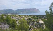 Tour Wandern Cassis - Calanques de Port Miou, Port Pin et d'En Vau - Photo 13