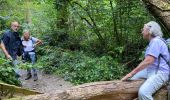 Tour Wandern Dinant - Falmagne - Photo 19