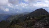 Percorso Marcia Ilha - 2025-03-30  Pico do Risco - Photo 5