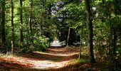 Trail Walking Compiègne - en forêt de Compiègne_31_les Tournantes du Grand Parc et du Mont du Tremble - Photo 2