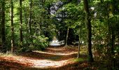 Excursión Senderismo Compiègne - en forêt de Compiègne_31_les Tournantes du Grand Parc et du Mont du Tremble - Photo 2