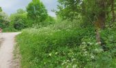 Tour Wandern Doucier - Balisage Lac de Chambly - Photo 9