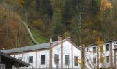 Tocht Te voet Freyung - Rundwanderweg Nr. 2 Saußbach - Falkenbach - Photo 1