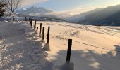 Percorso Racchette da neve Saint-Jean-de-Sixt - Le panorama du Danay (14) - Photo 3
