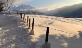 Tour Schneeschuhwandern Saint-Jean-de-Sixt - Le panorama du Danay (14) - Photo 3