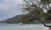 Tour Wandern Sainte-Anne - grand parcours de randonnée autour du bourg de St Anne.  - Photo 19