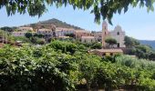 Excursión Senderismo Cargèse - Visite découverte de Cargèse - Photo 3