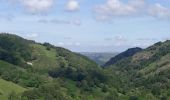 Trail Walking Meyrueis - Meyrues à observatoire Mont Aigoual  - Photo 9