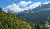 Tocht Stappen Auronzo di Cadore - Vallon Popena & Guglia De Amicis - Photo 9