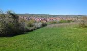 Trail Walking Rosheim - Rosheim Rosenwiller Boersch Bischenberg - Photo 5