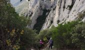 Trail Walking Puyloubier - Pic des Mouches  - Photo 3