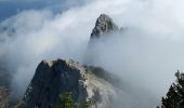 Trail Walking La Chapelle-du-Mont-du-Chat - DENT DU CHAT & MOLARD NOIR - Photo 6