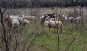 Trail Walking Les Arcs-sur-Argens - LES ARCS - DE SAINTE ROSELINE A VALBOURGES - Photo 6