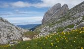 Trail Walking Villard-de-Lans - Pas de L'OEILLE, circuit au départ des Glovettes (Villard de Lans) - Photo 13